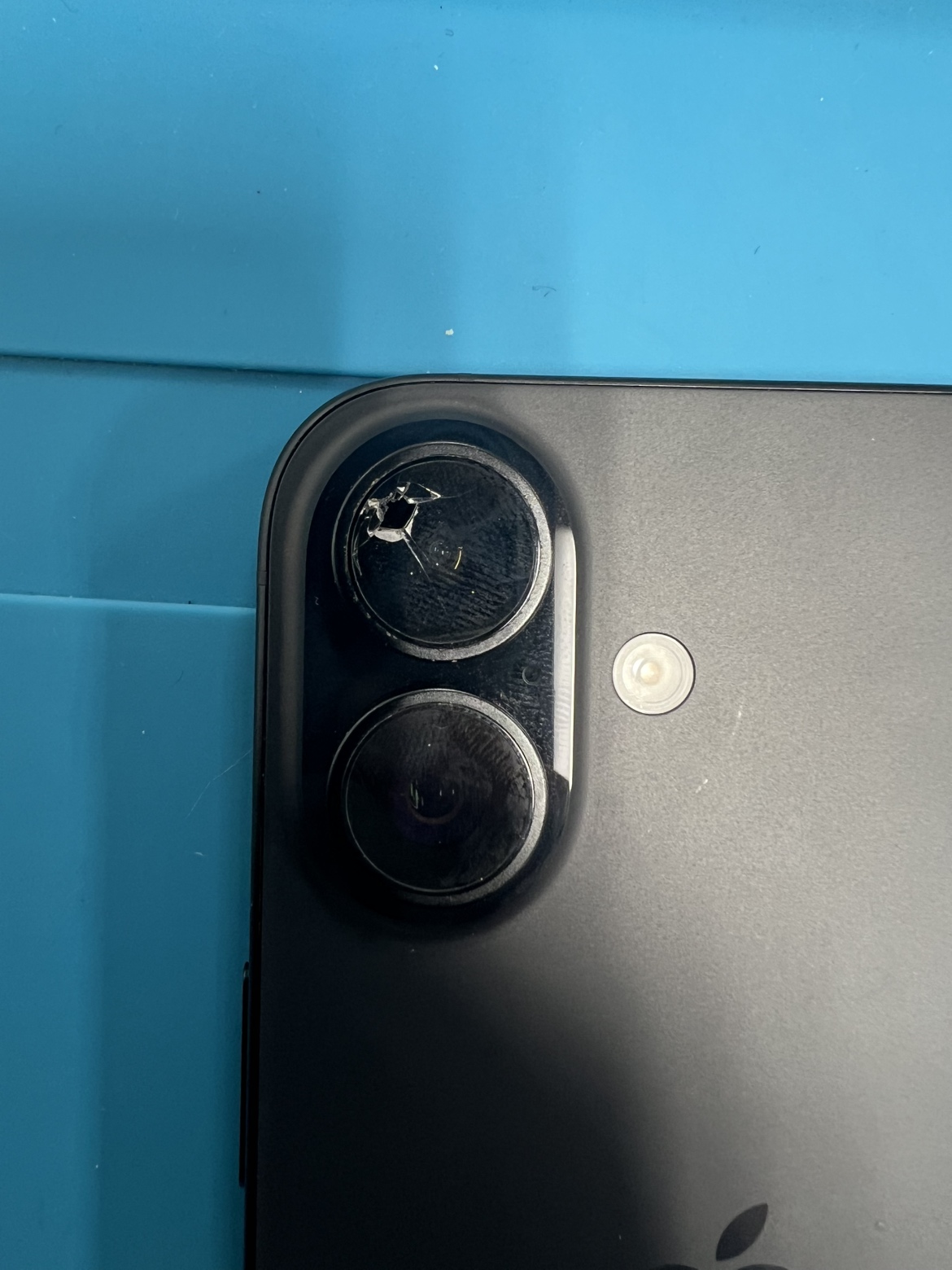 iPhone16　超広角レンズ（おいらせ町からご来店）